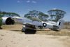 P-51