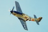 P-51