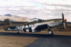 P-51