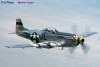 P-51