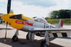 P-51