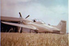 P-51