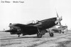 P-51