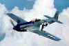 P-51