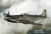 P-51