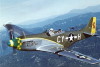 P-51