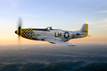 GM7_0637s