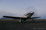 RN7_0035ds