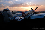 RN7_7034ds