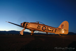 RN7_8104ds