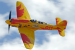 RN7_9573ds