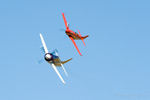 RN8_2401s