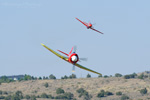 RN8_3029cs