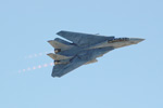 f14_7977wps