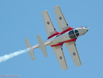 snowbirds.7506s