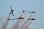 snowbirds.7673s
