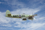 MF8_1550ds