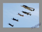 Nellis_HF_ww2a_1s