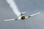 SD6_9818s