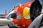 WW5_1256s