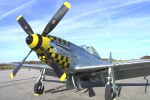 P-51 For Sale 44-13016
