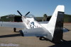 CHN.p51_0537t
