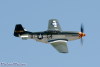 CHN.p51_1650t
