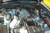 00_SVTcobra4.6L_w7_1t