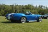 cobra_blue_3t