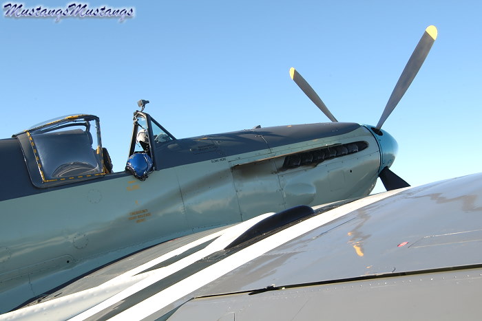 P-51 Mustang