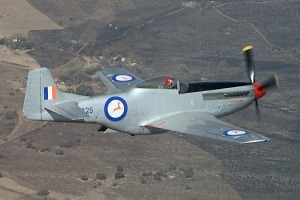 P-51 Mustang 44-72202