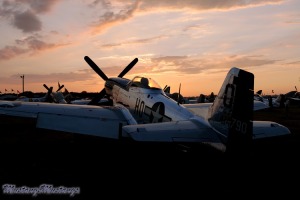 P-51 Mustang 44-73279