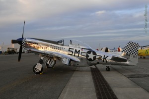 P-51 Mustang 44-84786, 44-73822