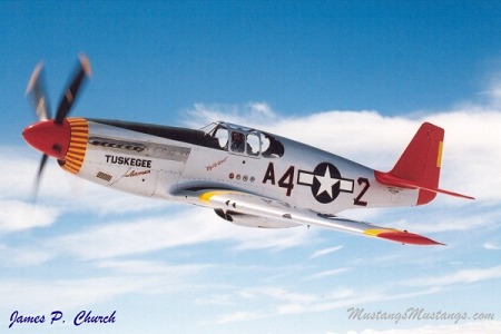 P-51 Survivor 42-103645 NL61429