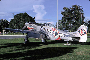 P-51 Mustang 44-?