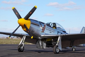 P-51 Mustang (composite)