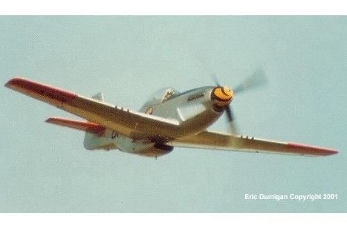 P-51 Who