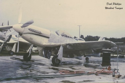 P-51 Who