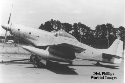 P-51 Who