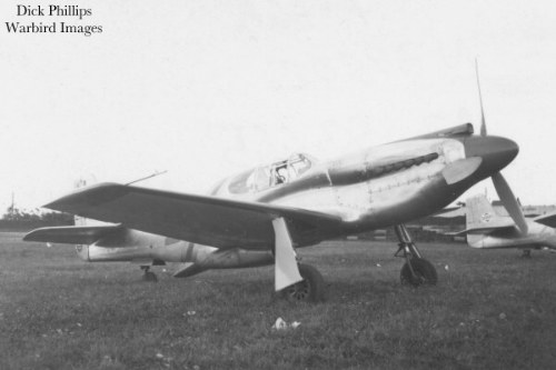 P-51 Who
