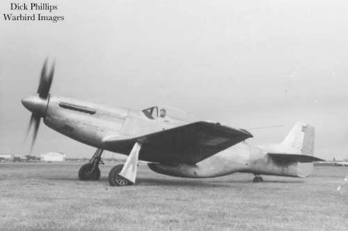 P-51 Who
