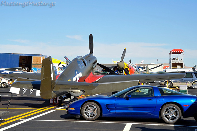 P-51 Polar Bear