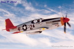 Don Hinz P-51