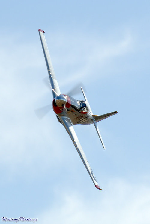 Ridge Runner III