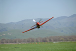 Dago Red at 1C9