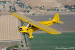 08_Cub673_2434s.jpg