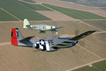 08_Minter_1884s.jpg