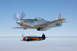 MF8_2056s.jpg