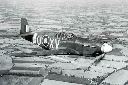 P-51 Mustang at WWII P-51s