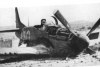 31t.jpg